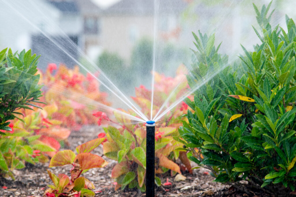 landscape maintenance