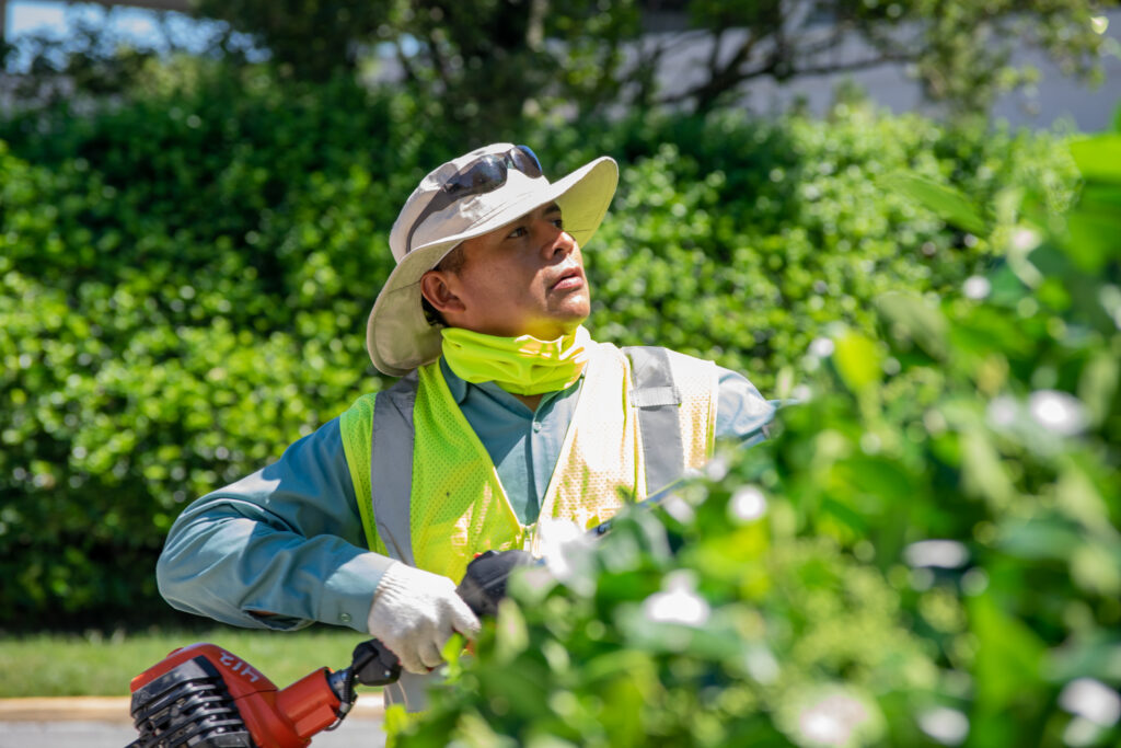 landscape maintenance