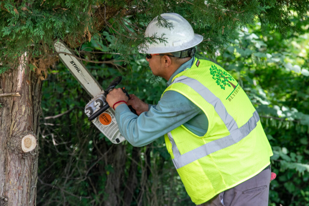 landscape maintenance
