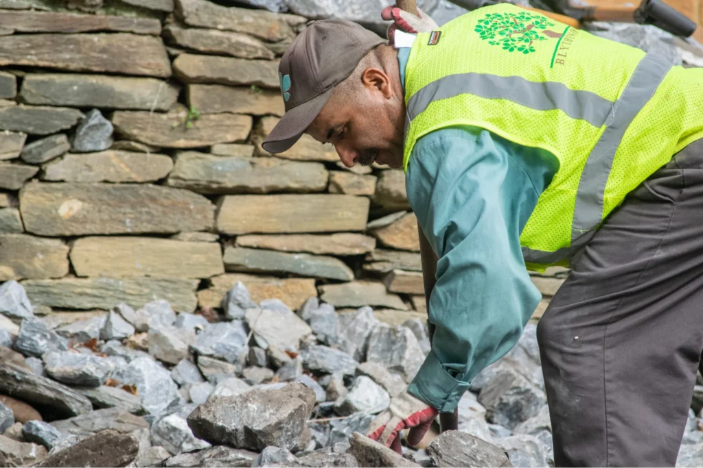 landscape maintenance